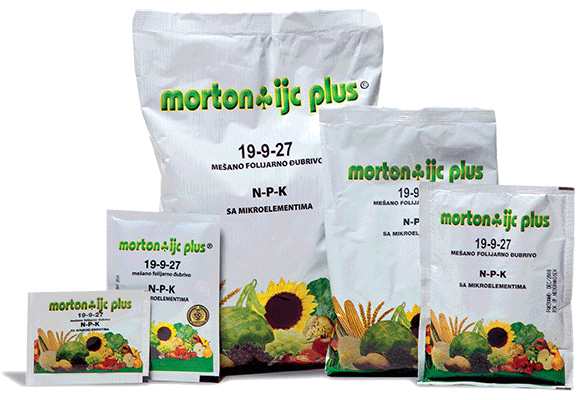 Mortonijc Plus